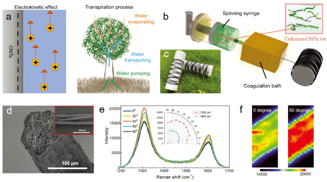 一种导电亲水性纤维素/碳纳米管纤维