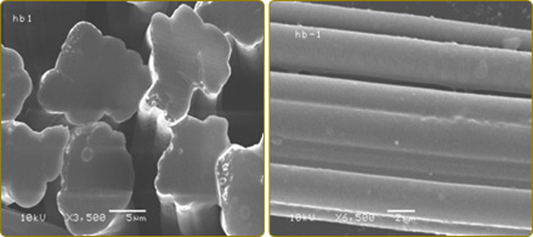 这几种以麻为原料的国产纤维素纤维有何区别？